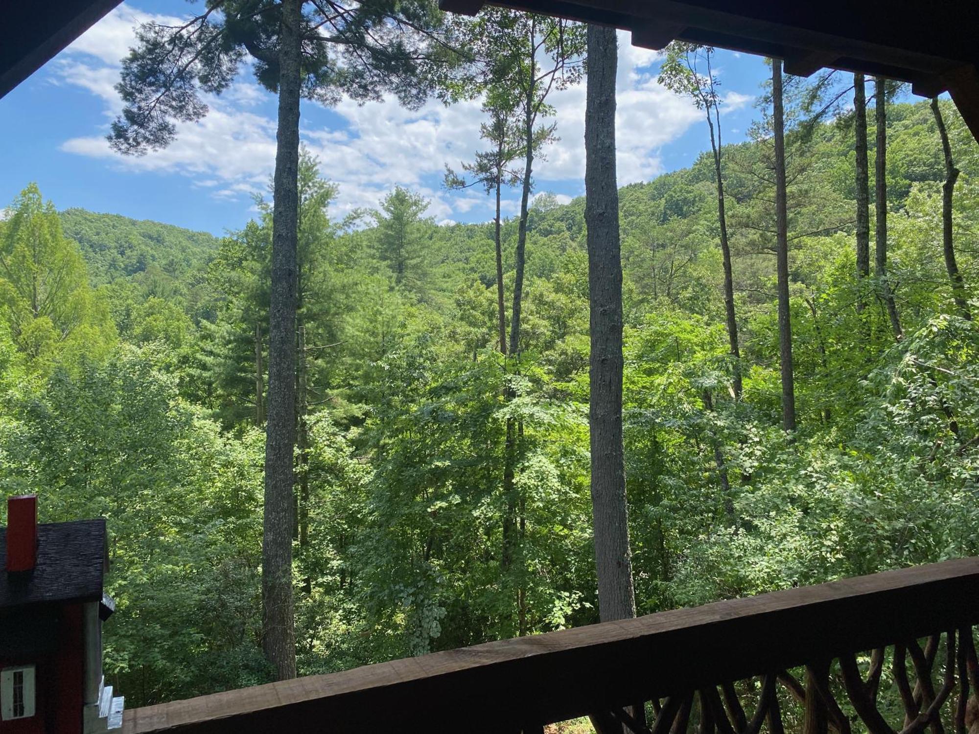 The Cozy Lazy Laurel With Year-round Mountain Views, Hot Tub, Fire Pit * Cherry Log