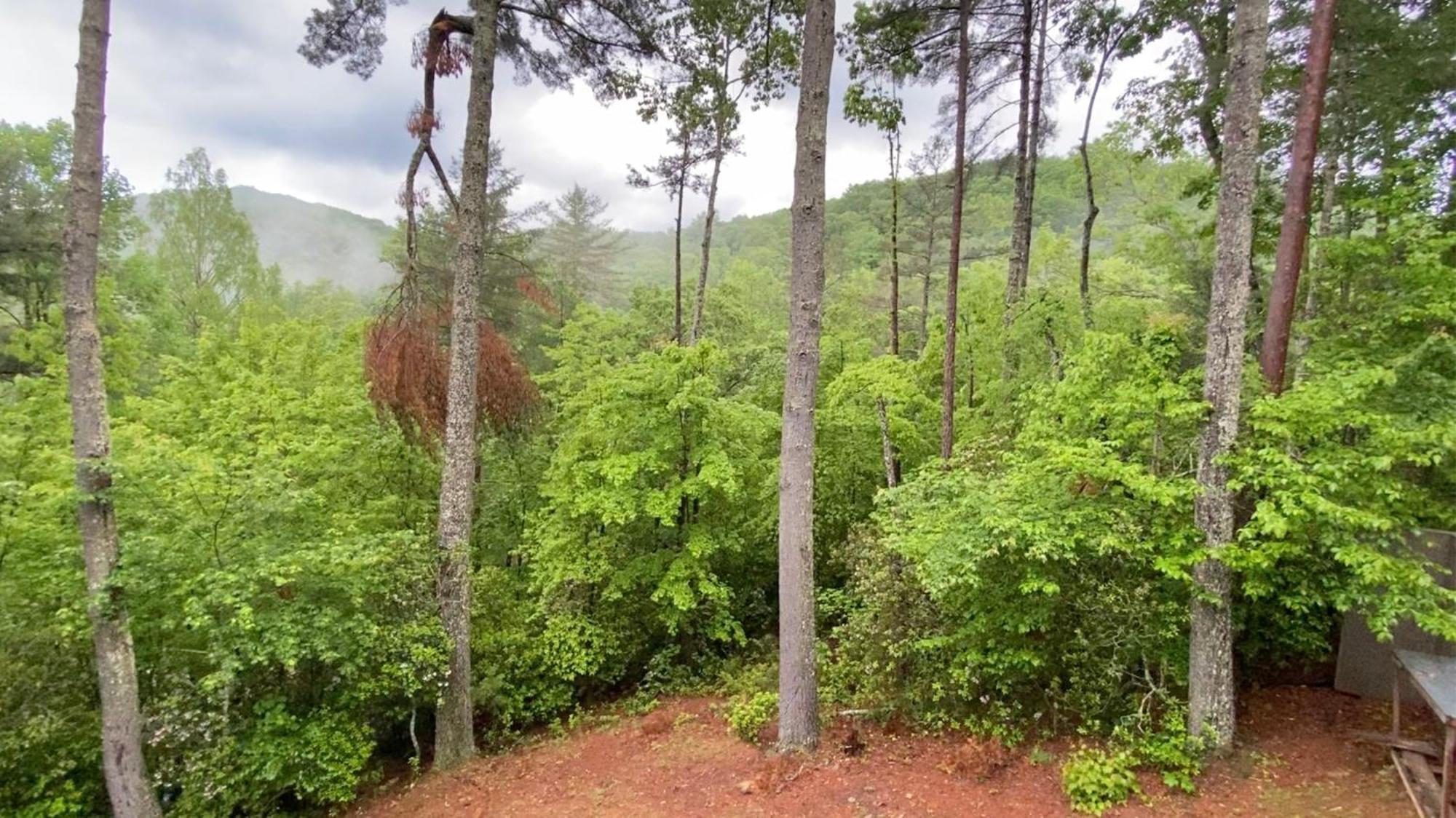 The Cozy Lazy Laurel With Year-round Mountain Views, Hot Tub, Fire Pit *
